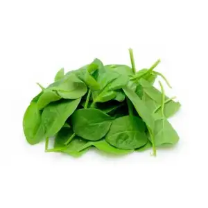 Baby Spinach - City Of Sprouts