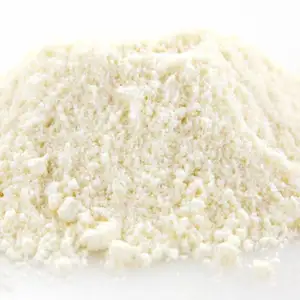 Parmesan Cheese Powder - Sea Quality