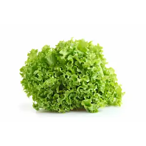 Batavia Salad