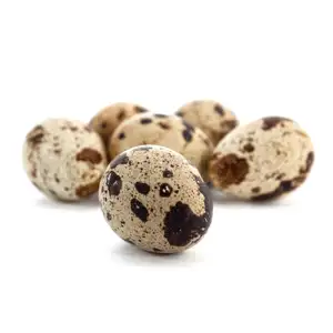 Quail Eggs