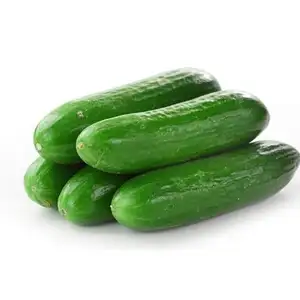 Cucumber - Delishop Fresh