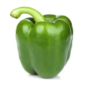 Sweet Bell Pepper Green - Delishop Fresh