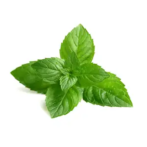 Mint - Delishop Fresh