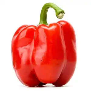 Sweet Bell Pepper Red - Delishop Fresh