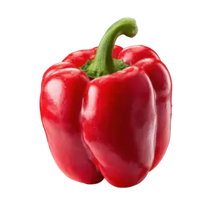 Sweet Bell Pepper Red - Delishop Fresh
