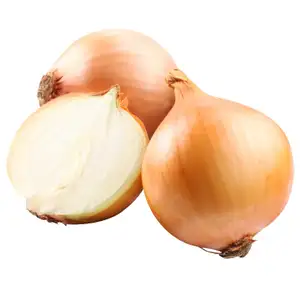 Onion - Delishop Fresh