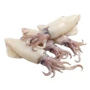 Squids - Mao Fishmonger
