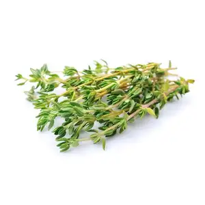 Fresh Thyme