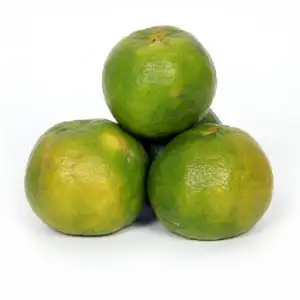 Orange Pursat - Delishop Fresh