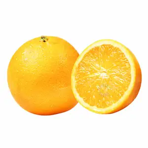 Orange Sunkist - Delishop Fresh