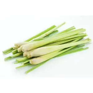 Lemongrass - Delishop Fresh