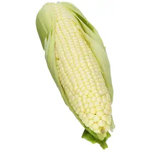 White Corn - Delishop Fresh