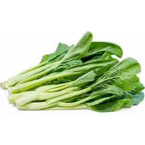 Choy Sum - Delishop Fresh