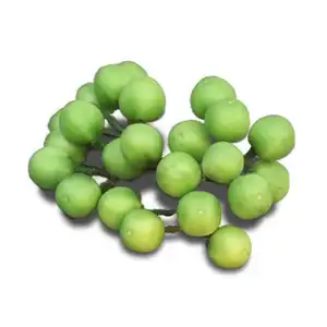 Cherry Egg Plant - Delishop Fresh