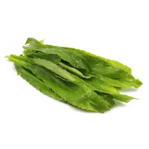 Long Mint Leaf - Delishop Fresh