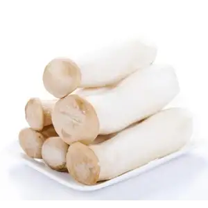 Chicken Leg Mushroom - Delishop Fresh