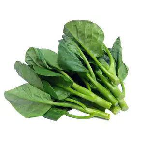 Baby Kale - Delishop Fresh