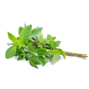 Khmer Basil - Delishop Fresh