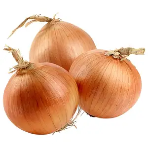 Mondolkiri Onion - Organic