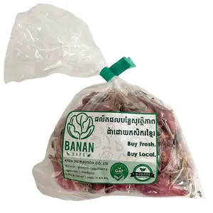 Shallot - Organic