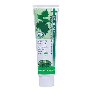 Nighttime Herbapeutic Toothpaste - Dentiste Plus White