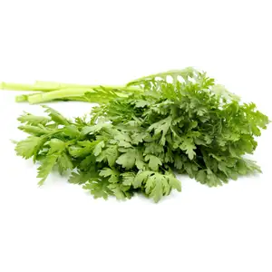 Crown Daisy - Delishop Fresh