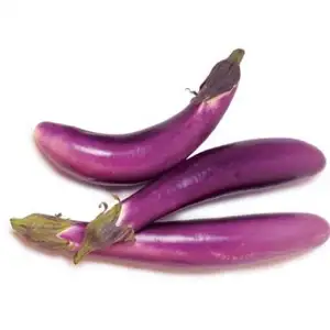 Eggplant - Delishop Fresh