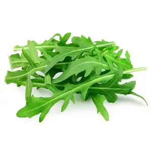 Roquette Leaves Salad - City Of Sprouts
