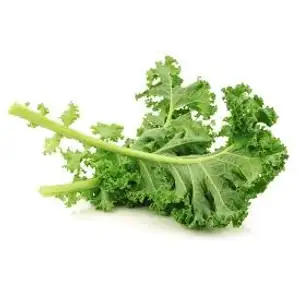 Curly Lacinato Kale - City Of Sprouts