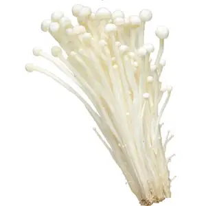Enoki Mushroom - Delishop Fresh