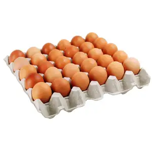 Fresh Eggs with Paper Pulp Tray Size L