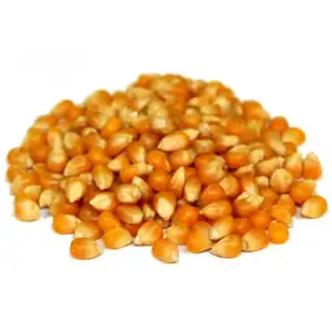 Pop Corn 500G - Sea Quality