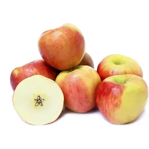 Apple Jazz - Rithy 1 Supply