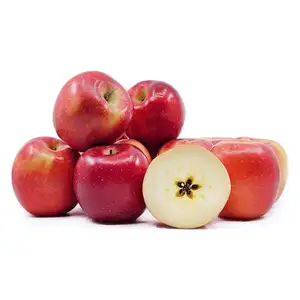 Apple Pacific - Rithy 1 Supply