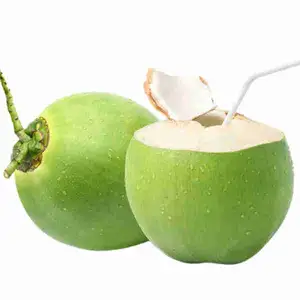 Coconut Peeled Skin - Rithy 1 Supply