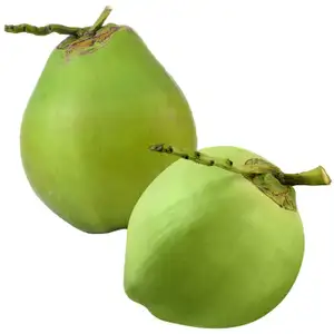 Whole Young Coconut - Rithy 1 Supply