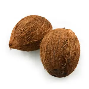 Coconut Ripe - Rithy 1 Supply