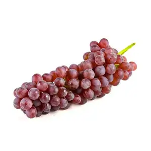 Small Red Grape - Rithy 1 Supply