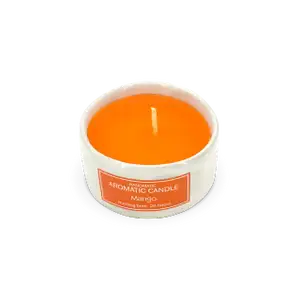 Mango Candle in White Ceramic - Senteurs D'Angkor