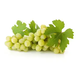 Green Grape Big Japan - Rithy 1 Supply
