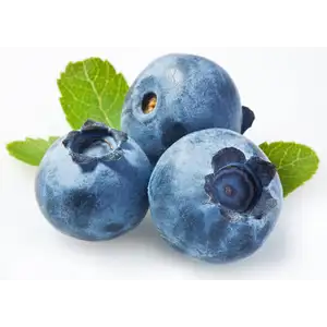 Blueberry - Rithy 1 Supply