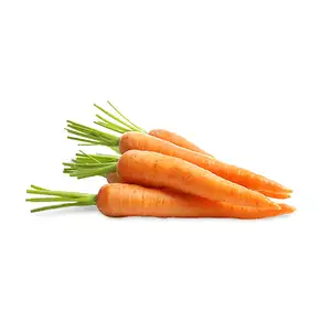 Baby Carrot - Rithy 1 Supply