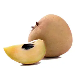 Sapodilla - Rithy 1 Supply