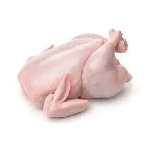 Chicken Hen - Rithy 1 Supply