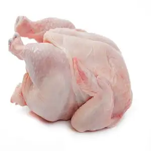 Chicken Big - Rithy 1 Supply