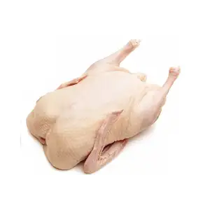 Duck Kapa - Rithy 1 Supply
