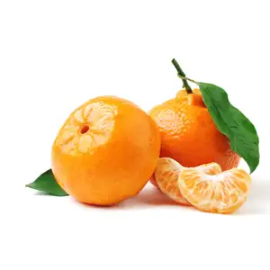 Tangerine Orange (Small Size) - Rithy 1 Supply