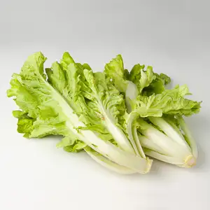 Curly Wrap Bok Choy - Khmer Organic