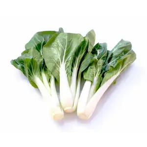 Ma Yee Bok Choy - Khmer Organic - Khmer Organic