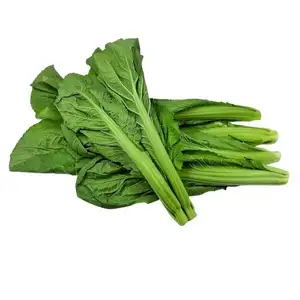 Green Mustard - Khmer Organic